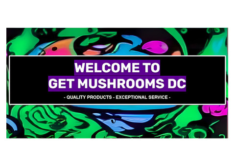 Psychedelic Mushroom Chocolate Bar – Premium Blend | GETMUSHROOMSDC