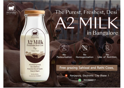 Order Desi Cow Milk in Bangalore – 100% Pure & Organic