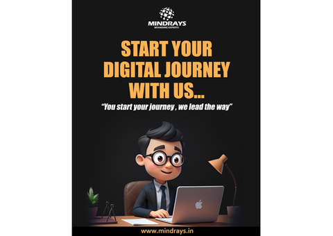 Mindrays Digital Marketing Agency in delhi
