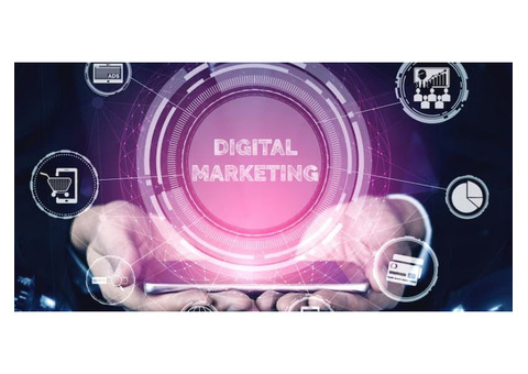 Drive Business Growth with Digital Piloto – Premier SEO Agency Near Me