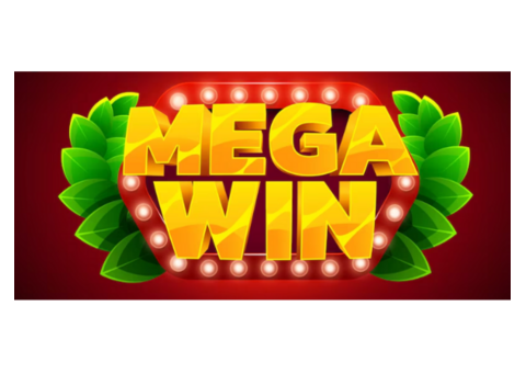 Where to Find the Latest Mega Millions Lottery Results