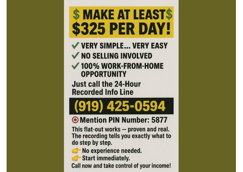 MAKE AT LEAST $325 PER DAY!