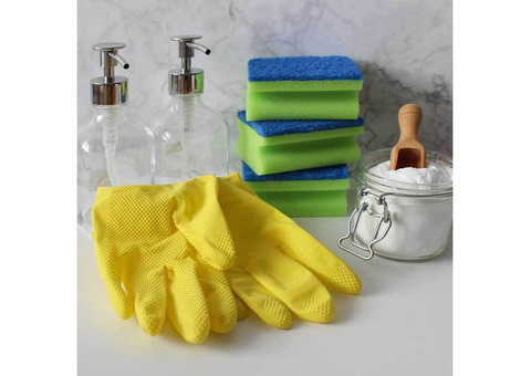 Pest Control Services in Vijayawada