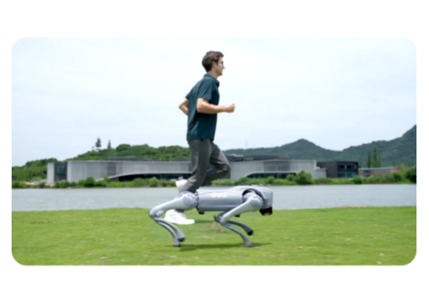 Toborlife AI’s Robot Dogs Are Here — Smarter and Ready for Duty