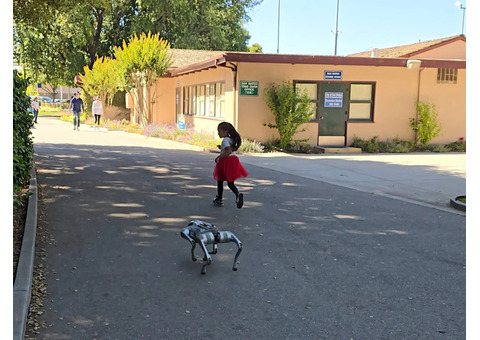 Choose Smarter With Toborlife AI’s Next-Generation Robot Dog