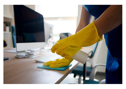 The Magnificent Cleaners Ltd
