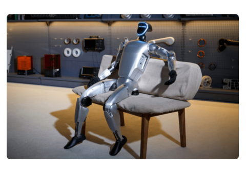 The Rise of the Humanoids: Toborlife AI Redefining Robotics