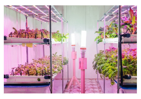 Duramax grow room panels help create the ideal environment