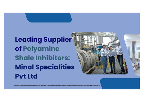 High-performance Polyamine Shale Inhibitor (Ahmedabad)