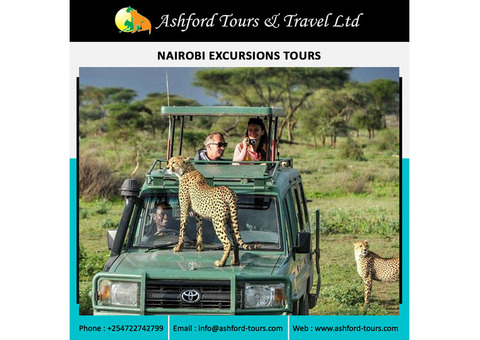 Safari Tours in Kenya and Tanzania