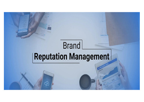 Brand Reputation Management Services