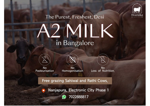 Best pure a2 milk near me in Bangalore