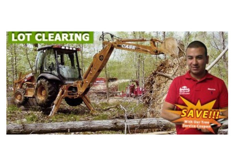 Expert Lot Clearing Services in NJ – Safe, Fast, and Affordable