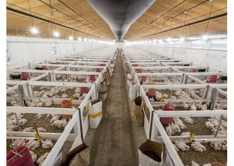 PVC Poultry Wall Panels Are Easy To Install