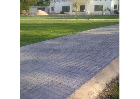Stunning Outdoor Landscaping with Chequered tiles