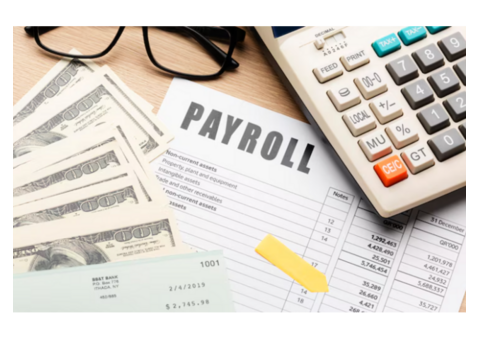 Professional Quarterly Payroll Services for CPAs