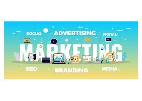 Google Ads Management Services | Algorismic Tech