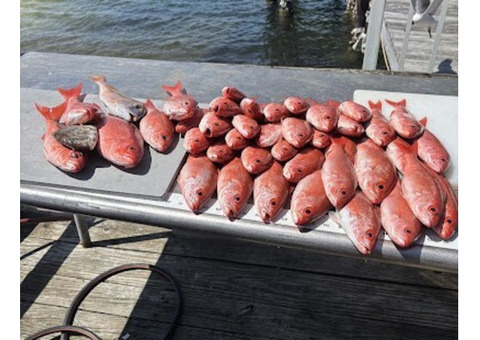 Kraken Reels, LLC | Fishing charter