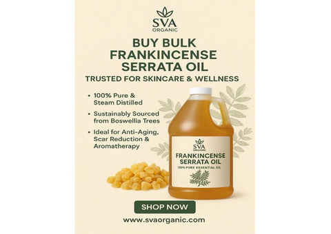 Buy Bulk Frankincense Serrata Oil