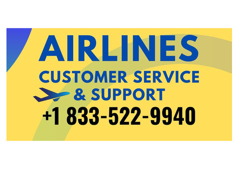 klm customer service