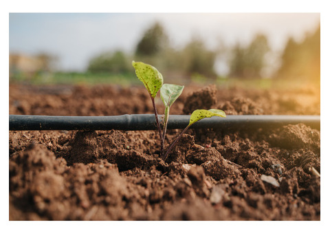 Flexible and PE Drip Pipes in Gujarat – Ideal for All Crops