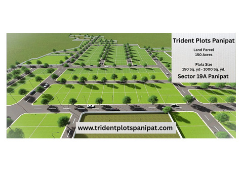 Trident Plots Panipat | Your perfect home awaits