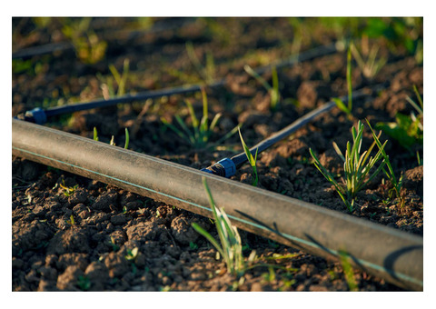 Buy Inline Drip Irrigation System for Farms in Madhya Pradesh