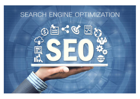 How SEO Services in Mumbai Helped Me Get More Leads