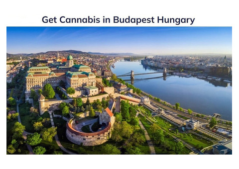 Get Cannabis in Budapest Hungary