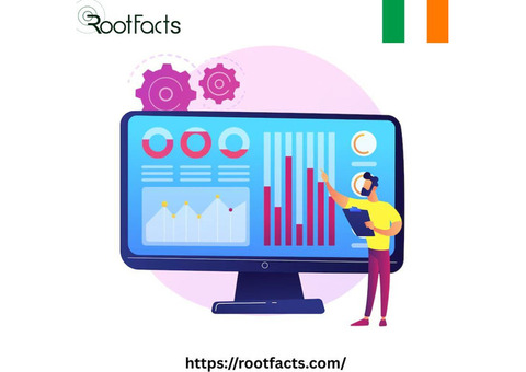 How can Big Data Analytics Services in Galway improve decision-making?
