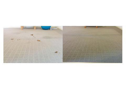 Residential carpet cleaning Adelaide