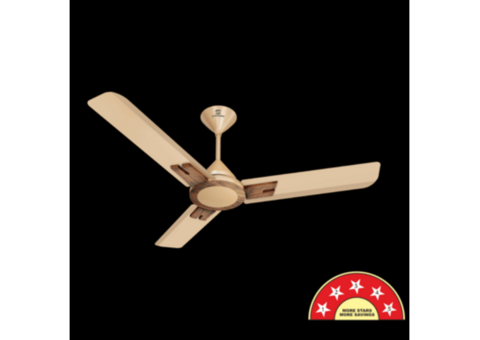Dasher Prime BLDC Ceiling Fan | Energy Efficient & Stylish