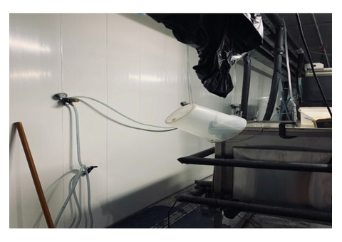Switch to PVC panels from damp and mold-ridden breweries FRP panels