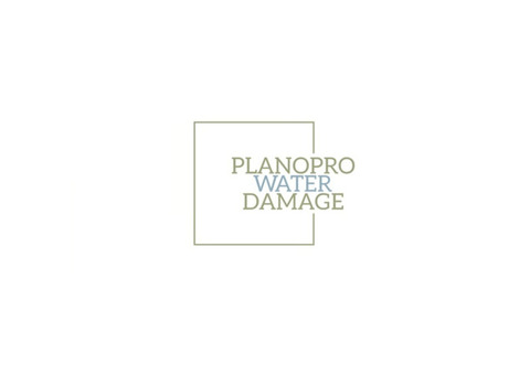 PlanoPro Water Damage