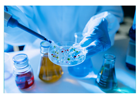 Expert Drug Discovery & Development Services