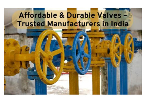 Affordable & Durable Valves – Trusted Manufacturers in India