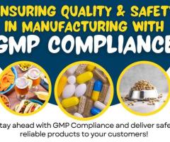 GMP Registration in Singapore
