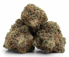 Buy AAAA Grade Weed Online in Canada
