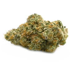 Buy Exotic Slurricane Strain Online Canada Vancouver
